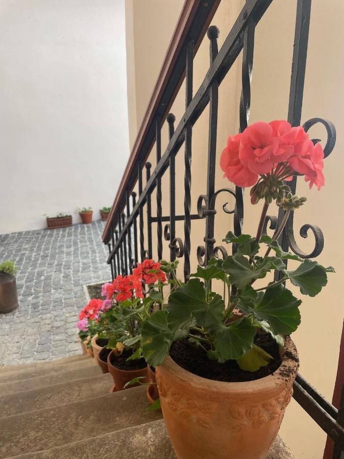 Historical Zaffir House - Market Square Holiday home