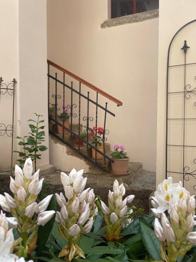 Historical Zaffir House - Market Square Levoca